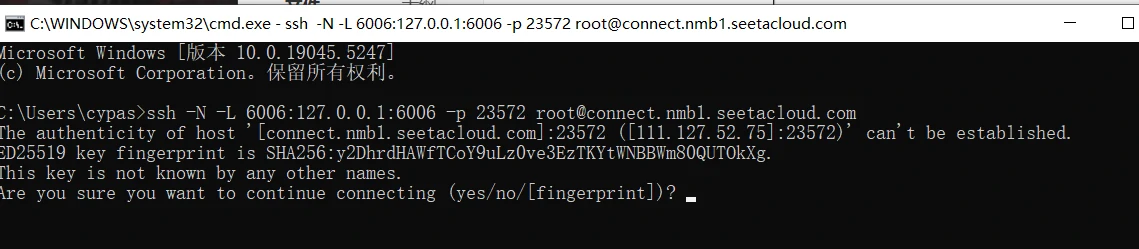 image-20250111231917665