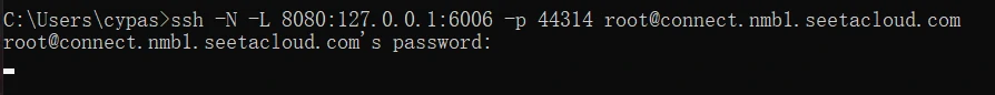 image-20250111235134528